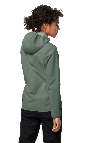 Kuzey Noktası Kadın Jack Wolfskin Hedge Yeşil Moda